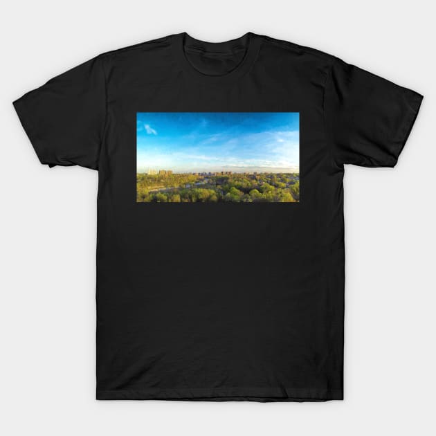 Big Sky Country T-Shirt by EugeJ